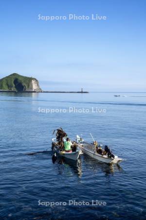 コンブ漁船とペシ岬