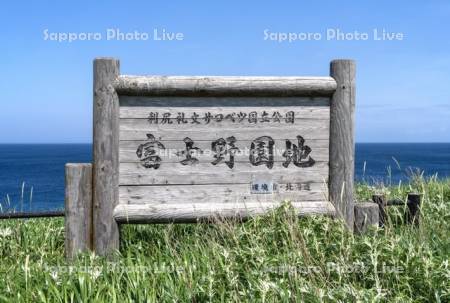 富士野園地