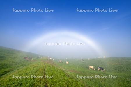放牧牛と白虹