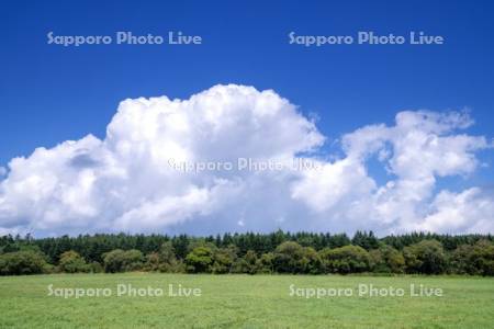 牧場と雲
