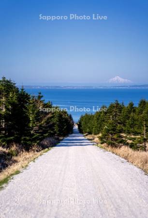 白い道と利尻島