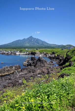 仙法志御崎公園より利尻山