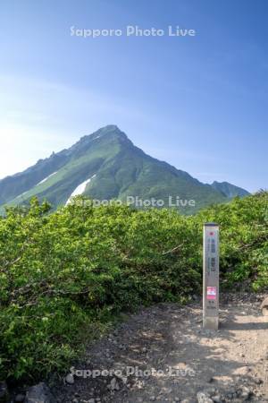 利尻山登山道鴛泊ルート8合目