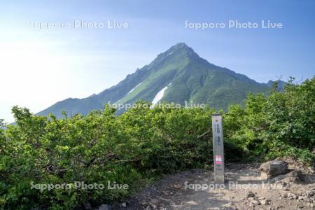 利尻山登山道鴛泊ルート8合目