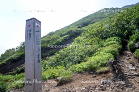 利尻山登山道鴛泊ルート9合目