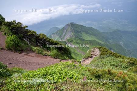 利尻山登山道鴛泊ルート9合目長官山