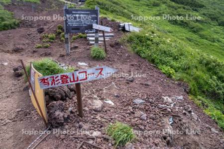 利尻山沓形登山道分岐看板