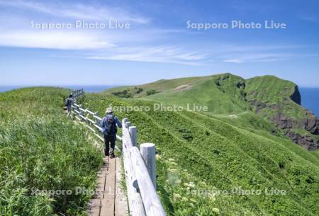 ツバメ山方面　桃岩展望台コース