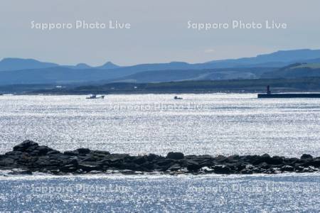 漁船帰港（サケ漁）