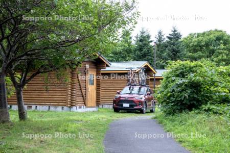 森林公園キャンプ場