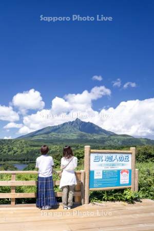 白い恋人の丘の観光客