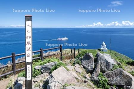 ペシ岬展望台とフェリー