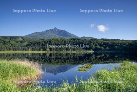 オタトマリ沼と利尻山