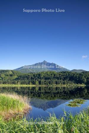 オタトマリ沼と利尻山