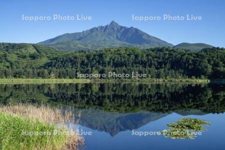 オタトマリ沼と利尻山