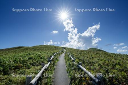 桃岩展望台コース