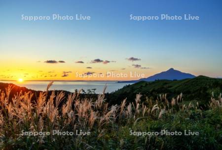 日の出とススキと利尻島