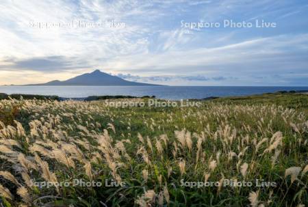 ススキと利尻島