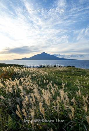ススキと利尻島