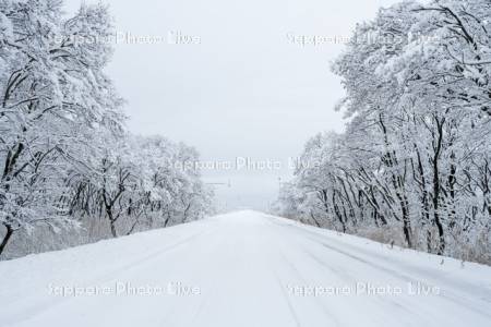 冬道　道道444号線