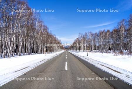 冬の国道273号線