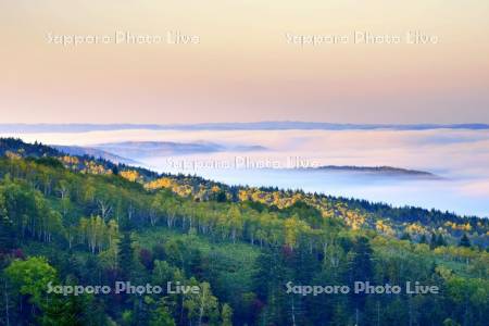 上問寒別の朝もや