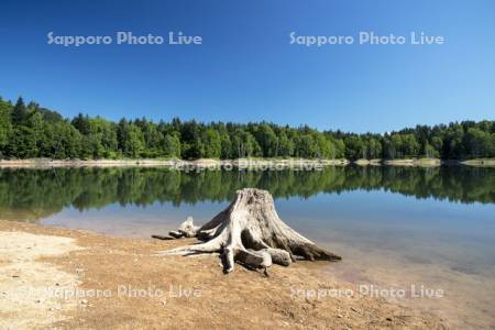雨竜第一ダム　湖底