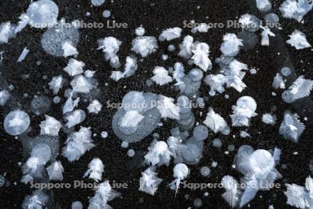 糠平湖のアイスバブルとフロストフラワー