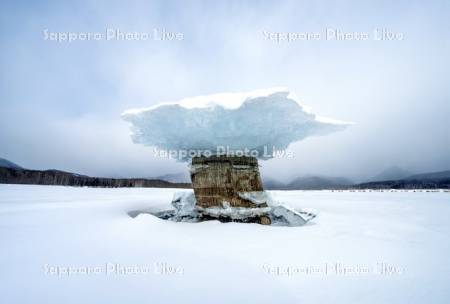 糠平湖のキノコ氷