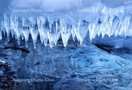 屈斜路湖のしぶき氷のつらら