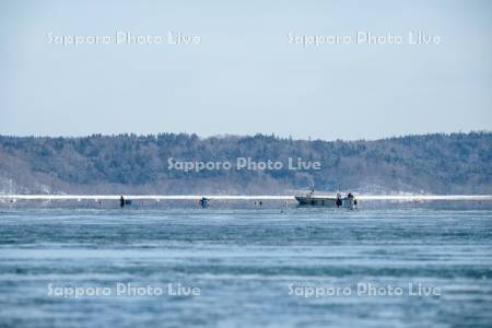 アサリ漁　厚岸湖
