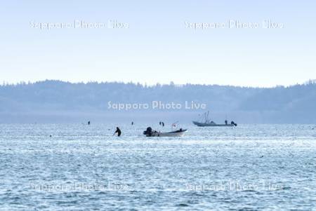 アサリ漁　厚岸湖