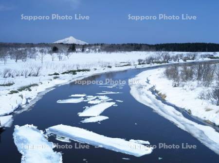 雪解けのサロベツ原野