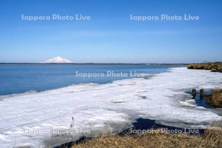 雪解けのパンケ沼と利尻島