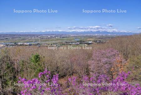 十勝が丘展望台より日高山脈