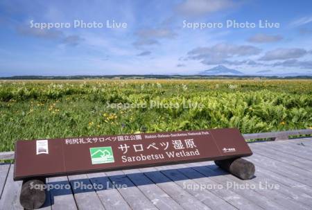 サロベツ湿原