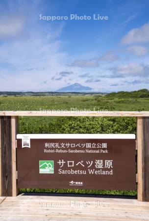 サロベツ湿原