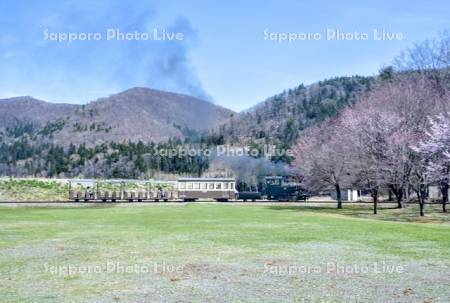 丸瀬布森林公園いこいの森　雨宮21号