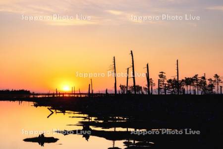 春国岱と夕日
