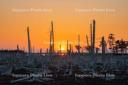 春国岱と夕日