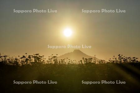 夕日と利尻島