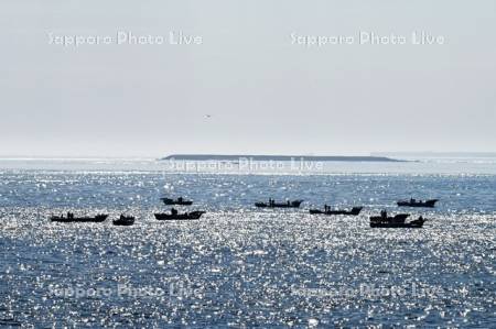 コンブ漁船と水晶島