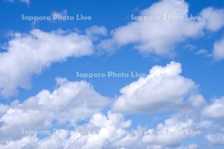 青空と雲