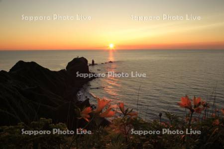 エゾカンゾウの花咲く神威岬の夕日
