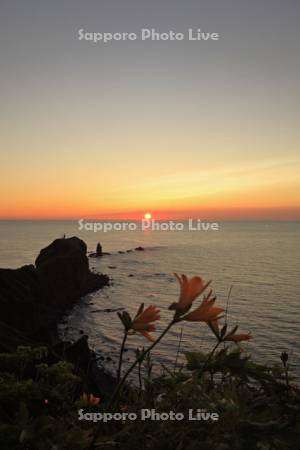 エゾカンゾウの花咲く神威岬の夕日