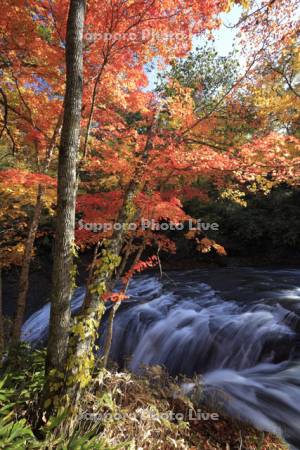 秋の白扇の滝