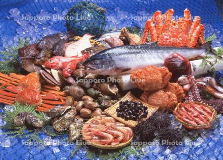 魚介類の集合
