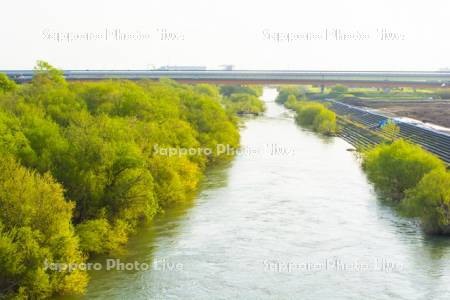 豊平川と札樽自動車道　豊水大橋