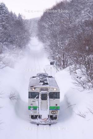 雪降る豊ヶ丘駅