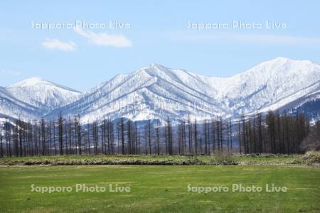 残雪の日高連山と牧場風景